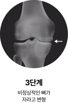 활기찬신경외과