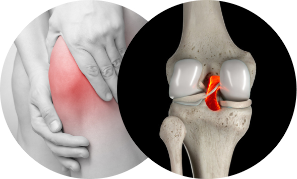 활기찬신경외과