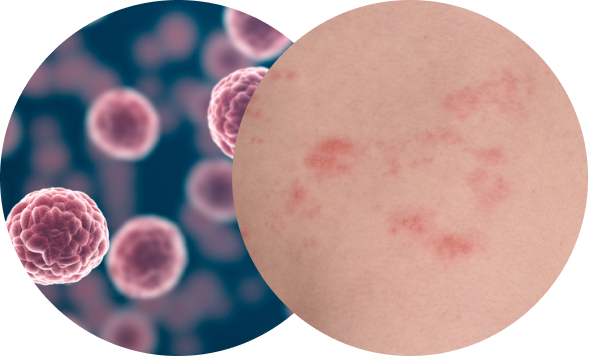 활기찬신경외과